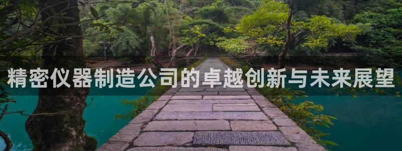 门徒娱乐怎么样：精密仪器制造公司的卓越创新与未来展望