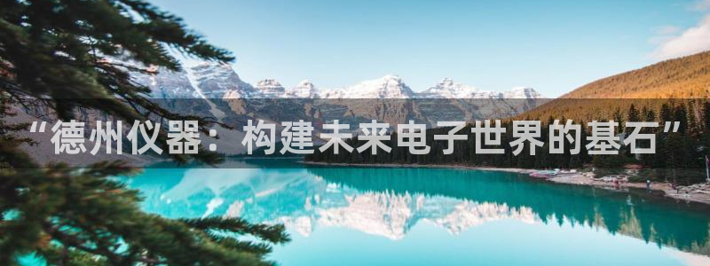 门徒娱乐后：“德州仪器：构建未来电子世界的基石”