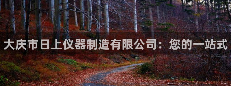 门徒娱乐盈利方法：大庆市日上仪器制造有限公司：您的一站式