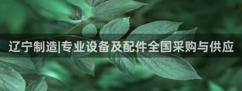 门徒娱乐官网登录：辽宁制造|专业设备及配件全国采购与供应