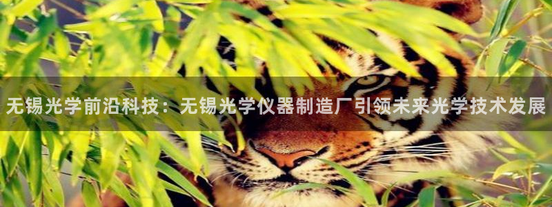 门徒彩票娱乐平台：无锡光学前沿科技：无锡光学仪器制造厂引领未