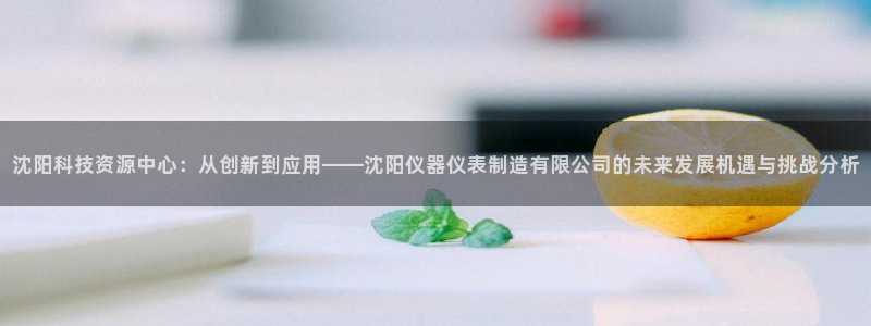 门徒娱乐下载手机版：沈阳科技资源中心：从创新到应用——沈阳仪