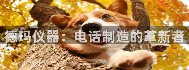 门徒娱乐主管=天神779O3：德玛仪器：电话制造的革新者