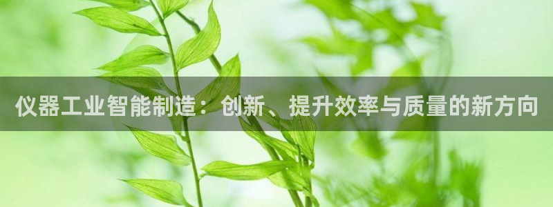 门徒娱乐67五壹叁八：仪器工业智能制造：创新、提升效率与质量