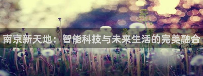 门徒娱乐什么平台可以玩：南京新天地：智能科技与未来生活的完美