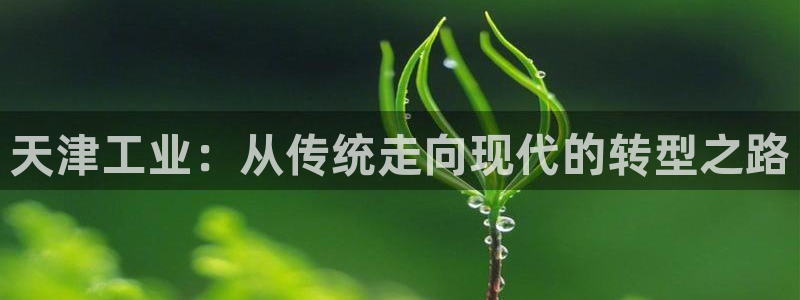 门徒娱乐筘494o3：天津工业：从传统走向现代的转型之路