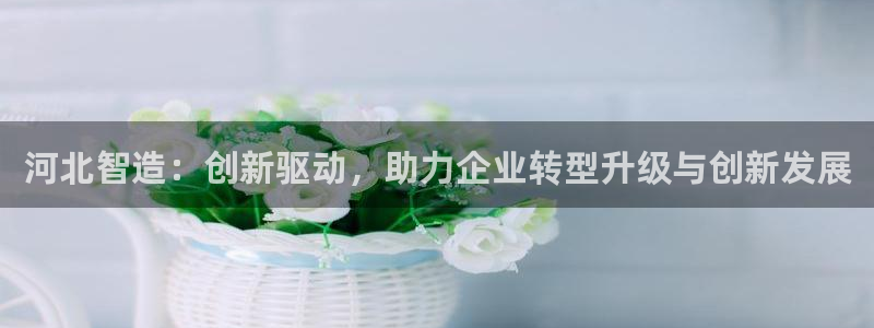 门徒娱乐多长时间了：河北智造：创新驱动，助力企业转型升级与创