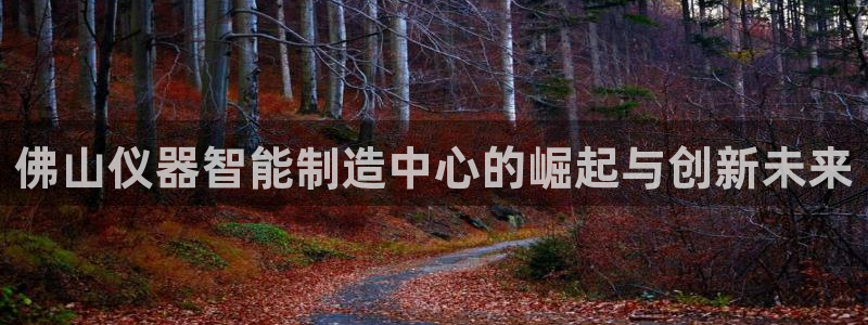 门徒娱乐注册登录：佛山仪器智能制造中心的崛起与创新未来