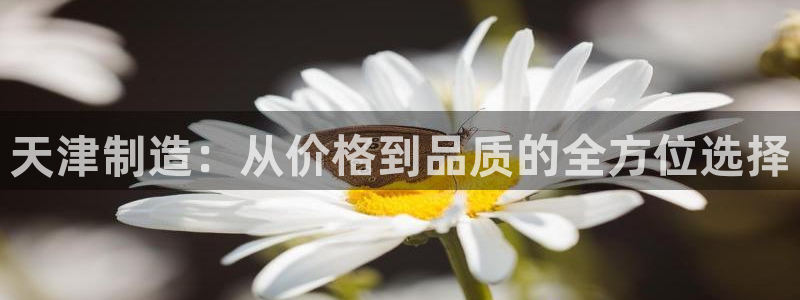门徒娱乐江7O777：天津制造：从价格到品质的全方位选择