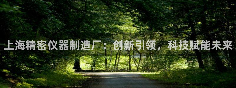 门徒娱乐盈利怎么样啊：上海精密仪器制造厂：创新引领，科技赋能