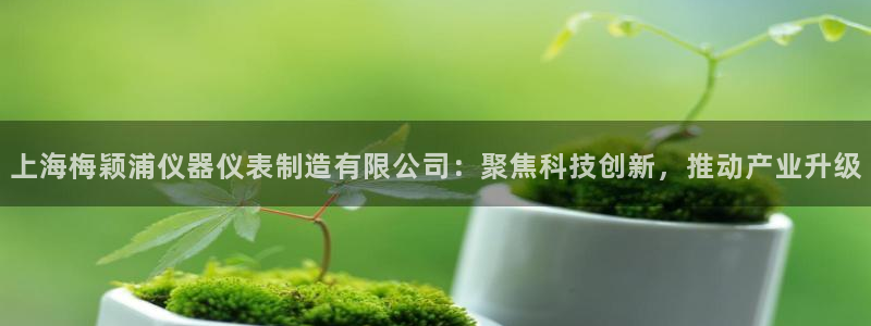门徒娱乐平台代理：上海梅颖浦仪器仪表制造有限公司：聚焦科技创