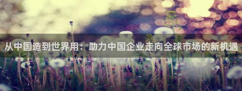 门徒娱乐平台可靠吗：从中国造到世界用：助力中国企业走向全球市