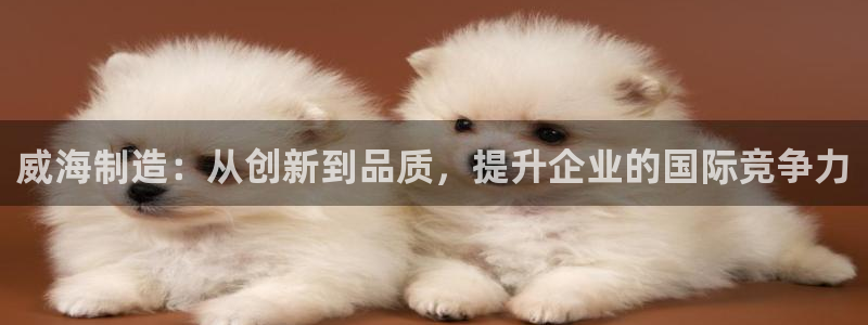 门徒娱乐平台58八四七：威海制造：从创新到品质，提升企业的国