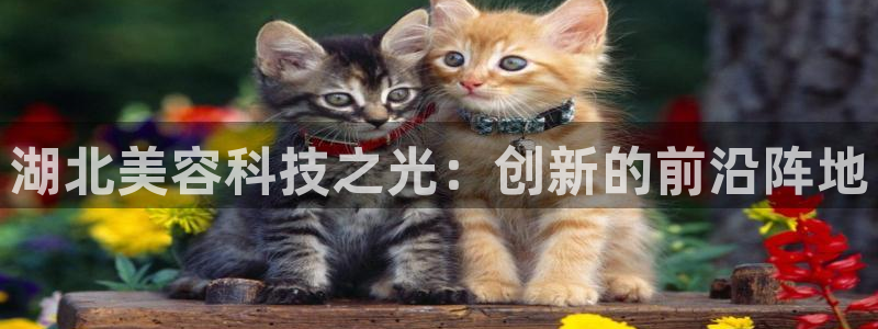 门徒娱乐登录网址是多少：湖北美容科技之光：创新的前沿阵地