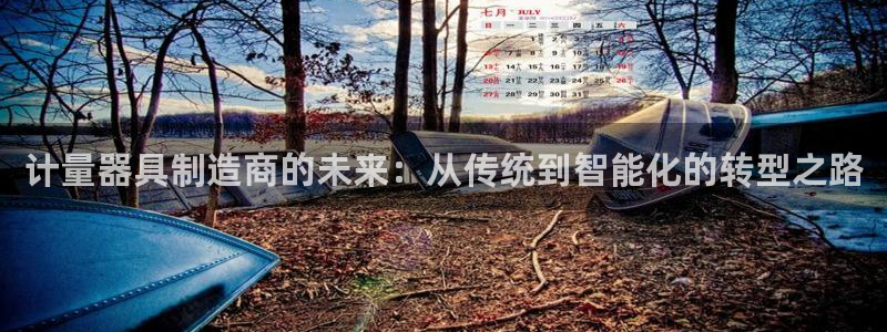 门徒娱乐线路图片高清：计量器具制造商的未来：从传统到智能化的
