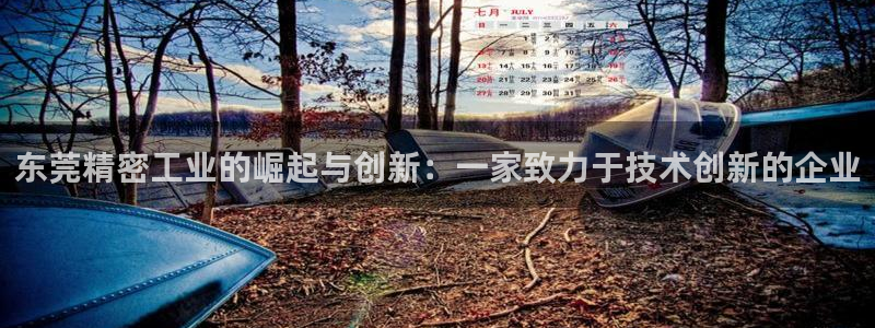门徒娱乐官方客服热线：东莞精密工业的崛起与创新：一家致力于技