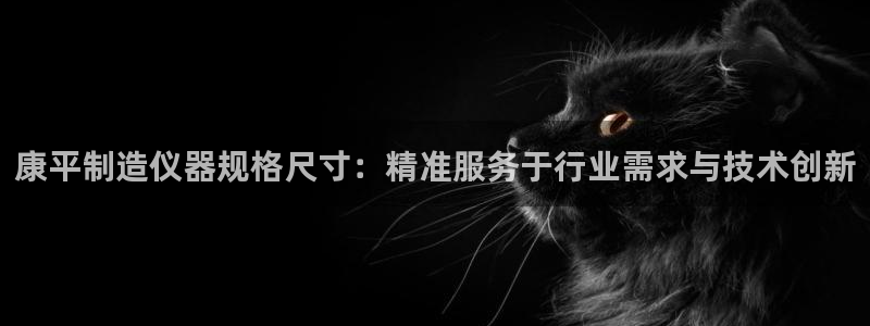 门徒娱乐是真假的：康平制造仪器规格尺寸：精准服务于行业需求与
