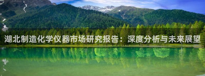 门徒娱乐注册下载：湖北制造化学仪器市场研究报告：深度分析与未