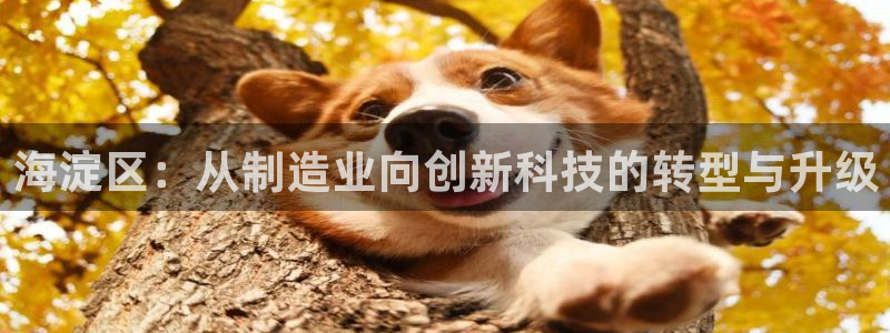 门徒娱乐 圈主管的是谁：海淀区：从制造业向创新科技的转型与升