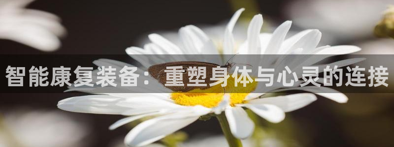 娱乐门徒txt全集下载：智能康复装备：重塑身体与心灵的连接
