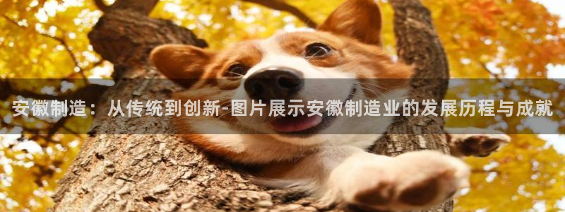 门徒娱乐平台登录入口：安徽制造：从传统到创新-图片展示安徽制