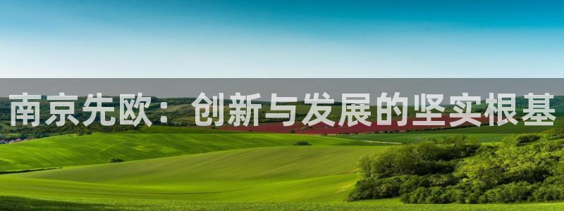 门徒娱乐项目叫什么名称：南京先欧：创新与发展的坚实根基
