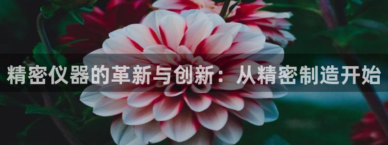 门徒娱乐最狠的三个平台排名：精密仪器的革新与创新：从精密制造