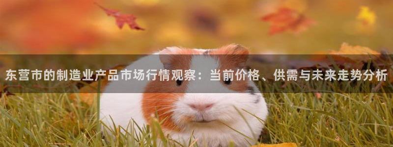门徒娱乐app下载：东营市的制造业产品市场行情观察：当前价格