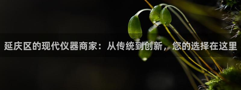 门徒娱乐注册平台网址：延庆区的现代仪器商家：从传统到创新，您