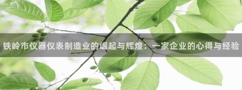 门徒娱乐代理怎么做：铁岭市仪器仪表制造业的崛起与辉煌：一家企