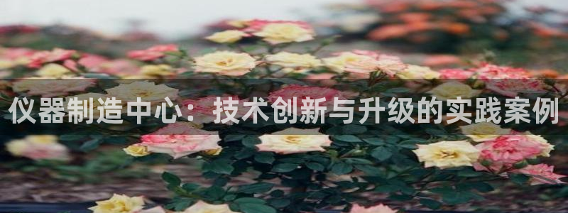 拉菲9门徒娱乐靠谱吗：仪器制造中心：技术创新与升级的实践案例