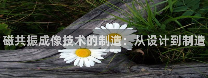 门徒娱乐官网登录入口登录手机版：磁共振成像技术的制造：从设计