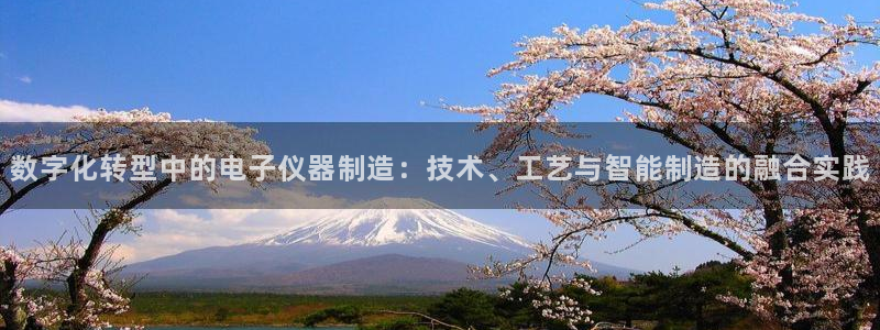 拉菲9门徒娱乐地址：数字化转型中的电子仪器制造：技术、工艺与