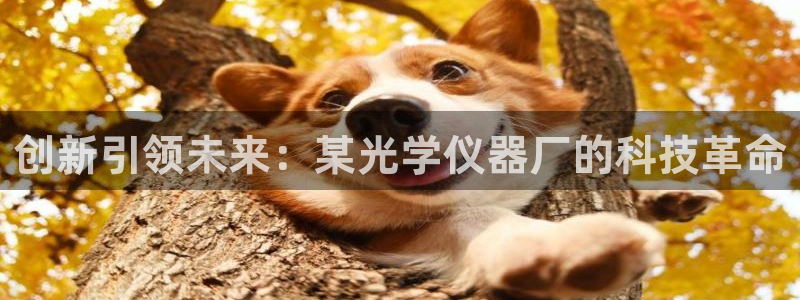 门徒娱乐登录网址：创新引领未来：某光学仪器厂的科技革命