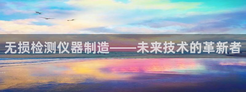 门徒娱乐 门徒平台：无损检测仪器制造——未来技术的革新者