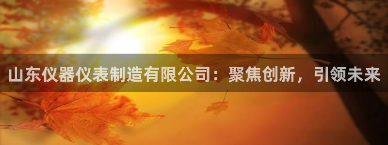 门徒娱乐找37997筘：山东仪器仪表制造有限公司：聚焦创新，