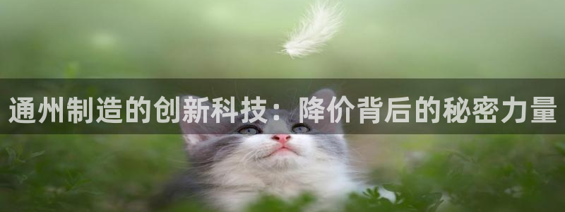 门徒娱乐注册地址查询：通州制造的创新科技：降价背后的秘密力量