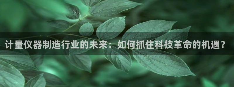 门徒第娱乐平台真的假的：计量仪器制造行业的未来：如何抓住科技