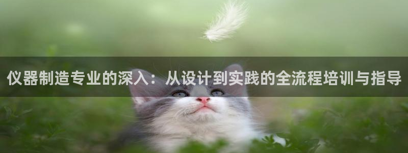 门徒娱乐系列有哪些剧：仪器制造专业的深入：从设计到实践的全流
