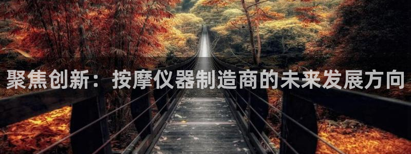 门徒娱乐是大平台吗：聚焦创新：按摩仪器制造商的未来发展方向
