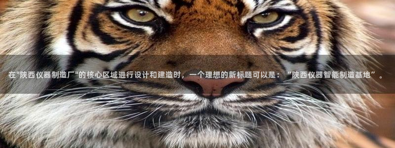 门徒娱乐天原把判官333OO：在\
