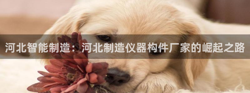 门徒娱乐系列有哪些剧：河北智能制造：河北制造仪器构件厂家的崛