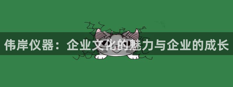 门徒娱乐怎么样知乎小说：伟岸仪器：企业文化的魅力与企业的成长
