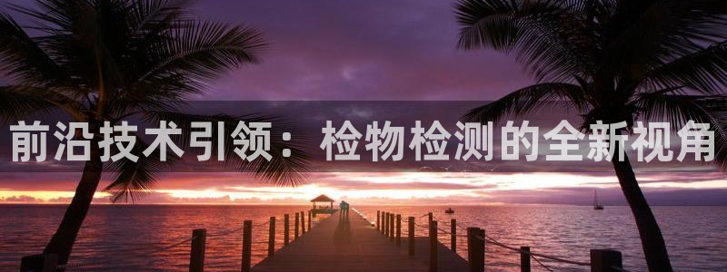 门徒娱乐老板是谁：前沿技术引领：检物检测的全新视角