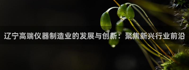 门徒娱乐平台注册：辽宁高端仪器制造业的发展与创新：聚焦新兴行