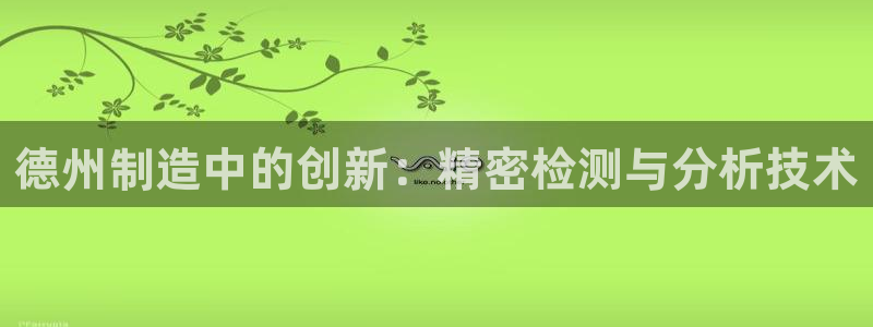 门徒娱乐软件有哪些平台：德州制造中的创新：精密检测与分析技术
