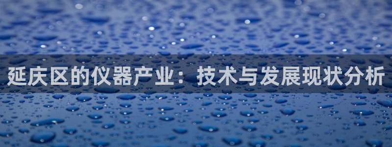 门徒娱乐挂机app下载：延庆区的仪器产业：技术与发展现状分析