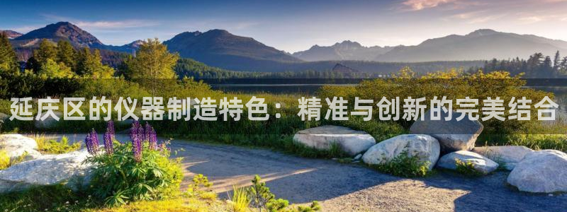 门徒娱乐app下载：延庆区的仪器制造特色：精准与创新的完美结