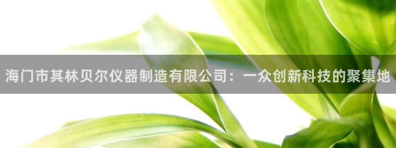 门徒娱乐后：海门市其林贝尔仪器制造有限公司：一众创新科技的聚