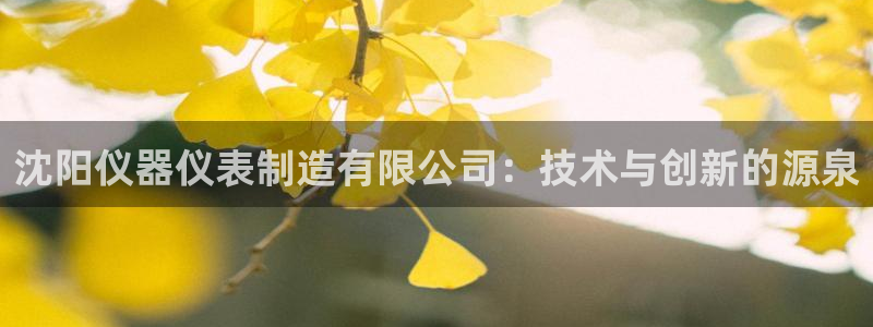 门徒娱乐代理注册多少钱：沈阳仪器仪表制造有限公司：技术与创新